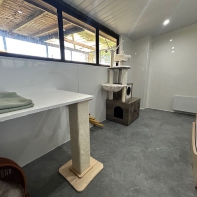 Purrfect Penthouse view 3